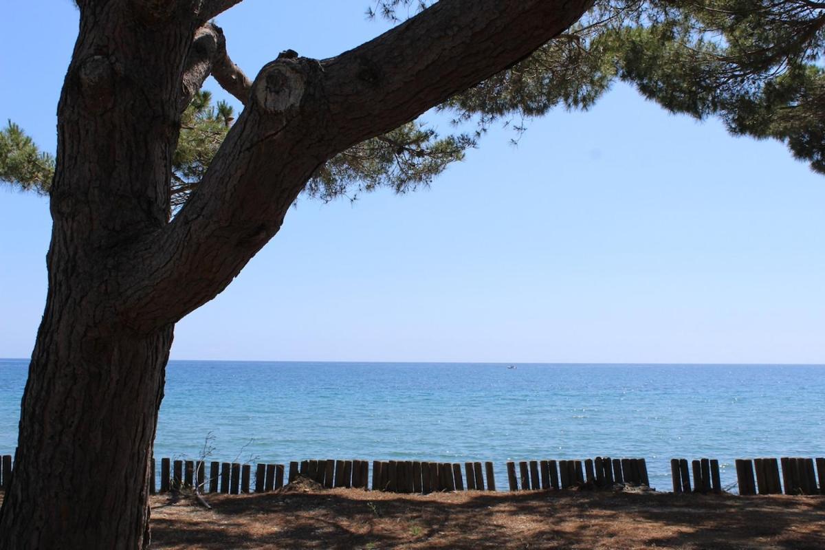 Bord de mer, pieds dans l'eau, vue panoramique Villa San-Nicolao Exterior foto